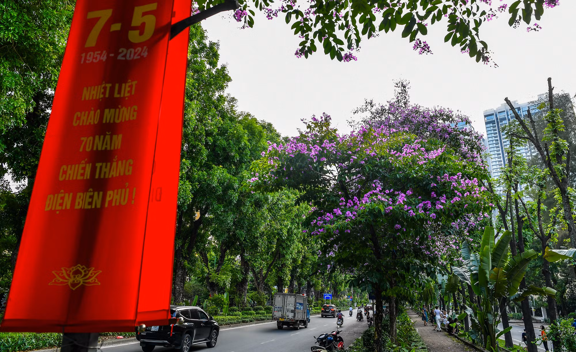 Trong những ngày tháng 5 của Hà Nội, hoa bằng lăng tím lại nở rộ trên khắp nẻo đường. Trong những ngày tháng 5 của Hà Nội, hoa bằng lăng tím lại nở rộ trên khắp nẻo đường.