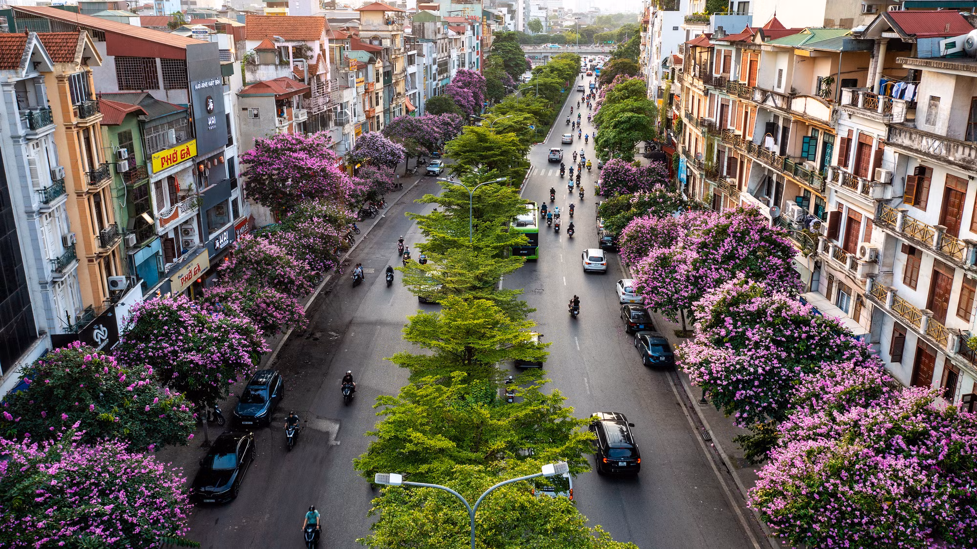 Tháng 5, hoa bằng lăng bắt đầu nở rộ, đặc biệt ở những tuyến đường rợp trong màu tím của hoa bằng lăng như Kim Mã, Văn Cao, Nguyễn Khánh Toàn, Hoàng Quốc Việt, Trần Thái Tông, Duy Tân, Đào Tấn, Kim Mã, Nguyễn Chánh, hồ Hoàng Cầu, hồ Gươm... tạo nên cảnh sắc cực kỳ ấn tượng. Trong ảnh là hoa bằng lăng "nhuộm tím" đường Đào Tấn. Tháng 5, hoa bằng lăng bắt đầu nở rộ, đặc biệt ở những tuyến đường rợp trong màu tím của hoa bằng lăng như Kim Mã, Văn Cao, Nguyễn Khánh Toàn, Hoàng Quốc Việt, Trần Thái Tông, Duy Tân, Đào Tấn, Kim Mã, Nguyễn Chánh, hồ Hoàng Cầu, hồ Gươm... tạo nên cảnh sắc cực kỳ ấn tượng. Trong ảnh là hoa bằng lăng "nhuộm tím" đường Đào Tấn.