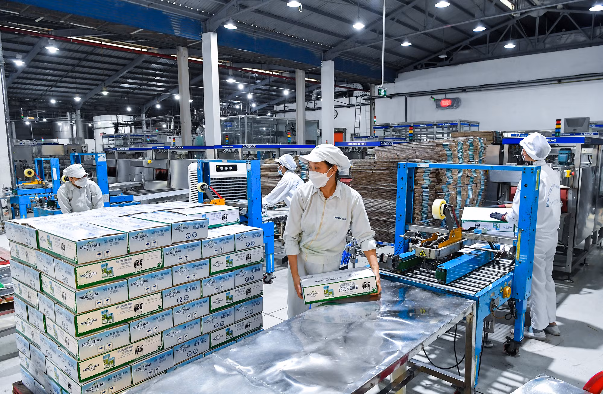 Những công đoạn đóng gói cuối cùng để xuất xưởng sản phẩm của Mộc Châu Milk.