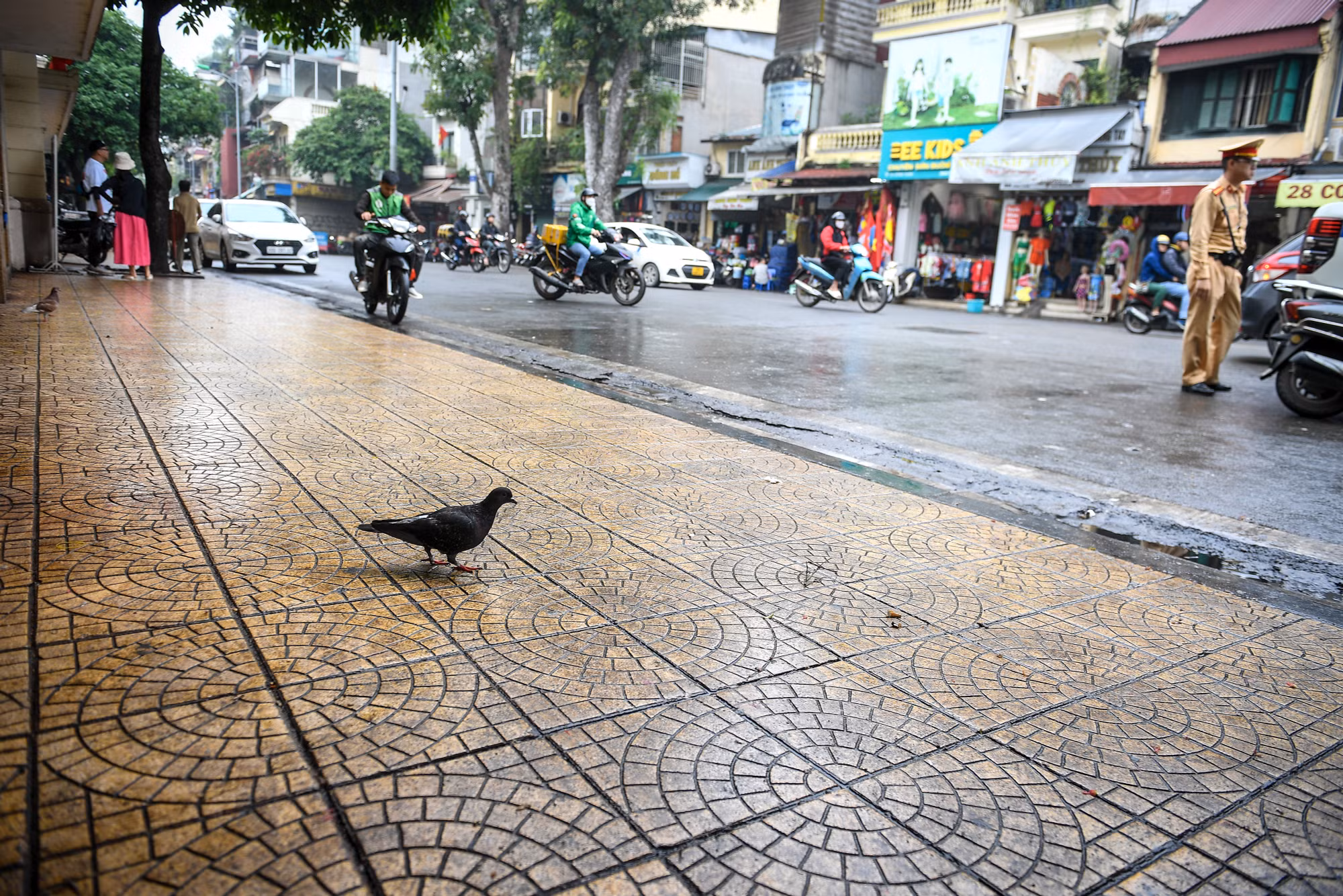 Ngay cả những chú chim bồ câu cũng có không gian riêng-điều vốn không dễ bắt gặp một tháng trước đây tại khu vực chợ lớn nhất Hà Nội này.
