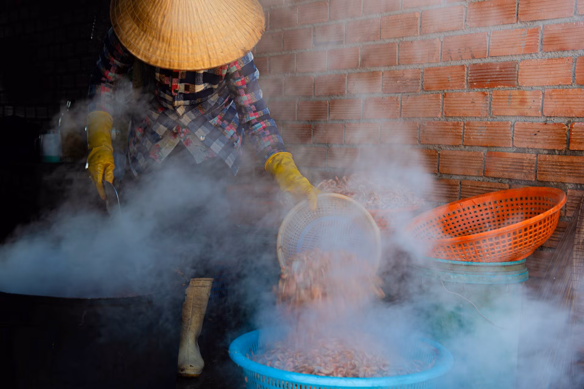 Chế biến tôm khô. Chế biến tôm khô.