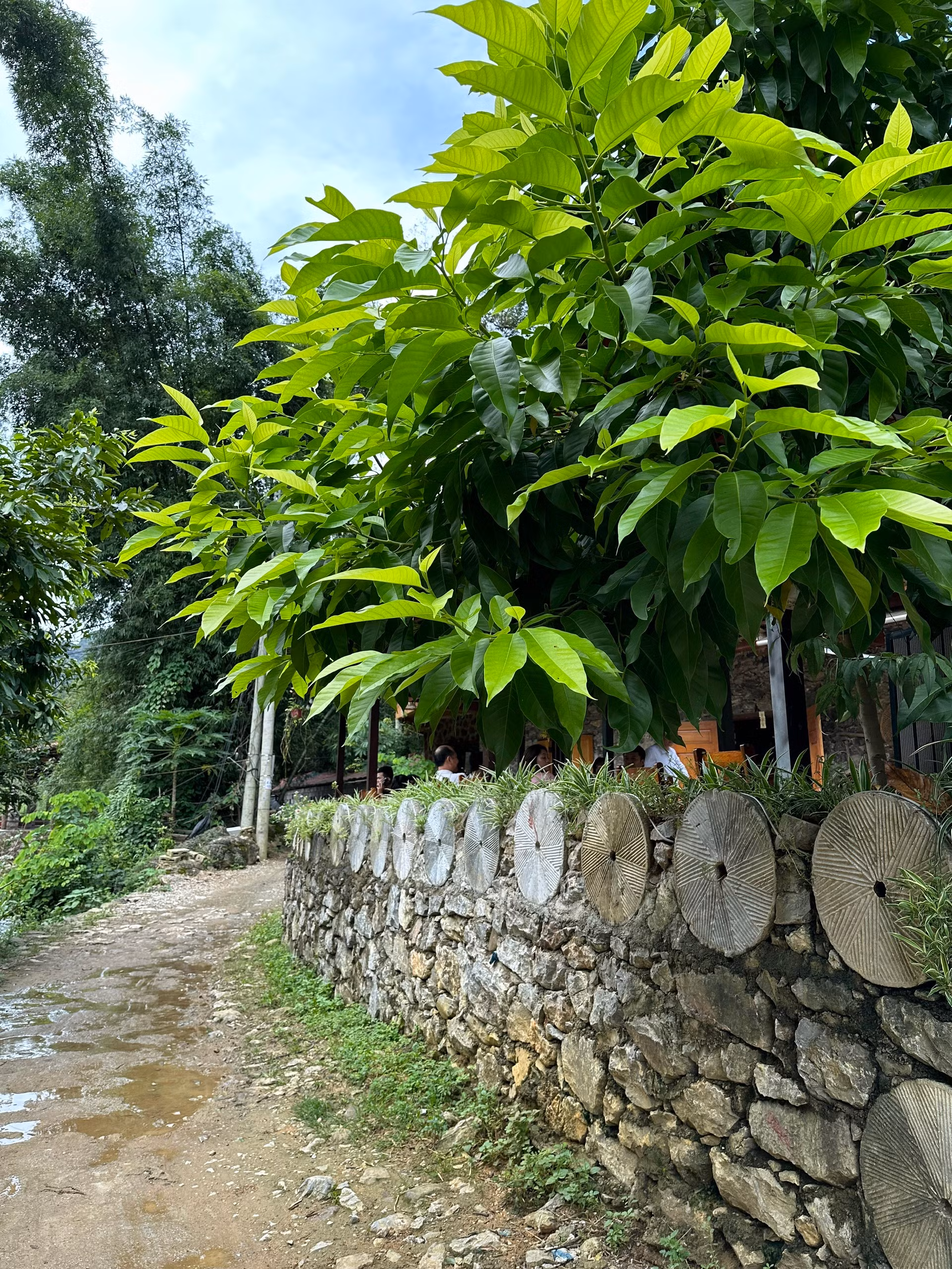 Những bức tường rào làm bằng đá ở Khuổi Ky. (Ảnh: THI PHONG)