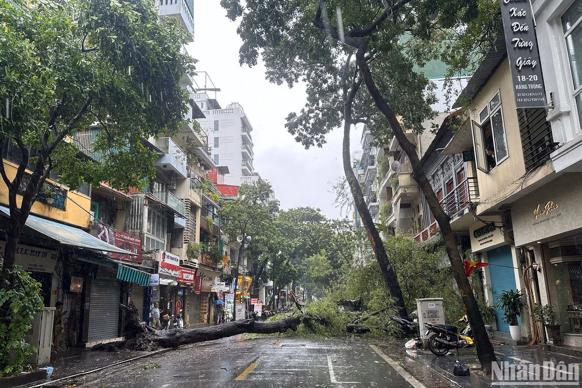 Cây xanh gãy đổ tại phố Hàng Trống (Hà Nội). (Ảnh: THỦY NGUYÊN) Cây xanh gãy đổ tại phố Hàng Trống (Hà Nội). (Ảnh: THỦY NGUYÊN)