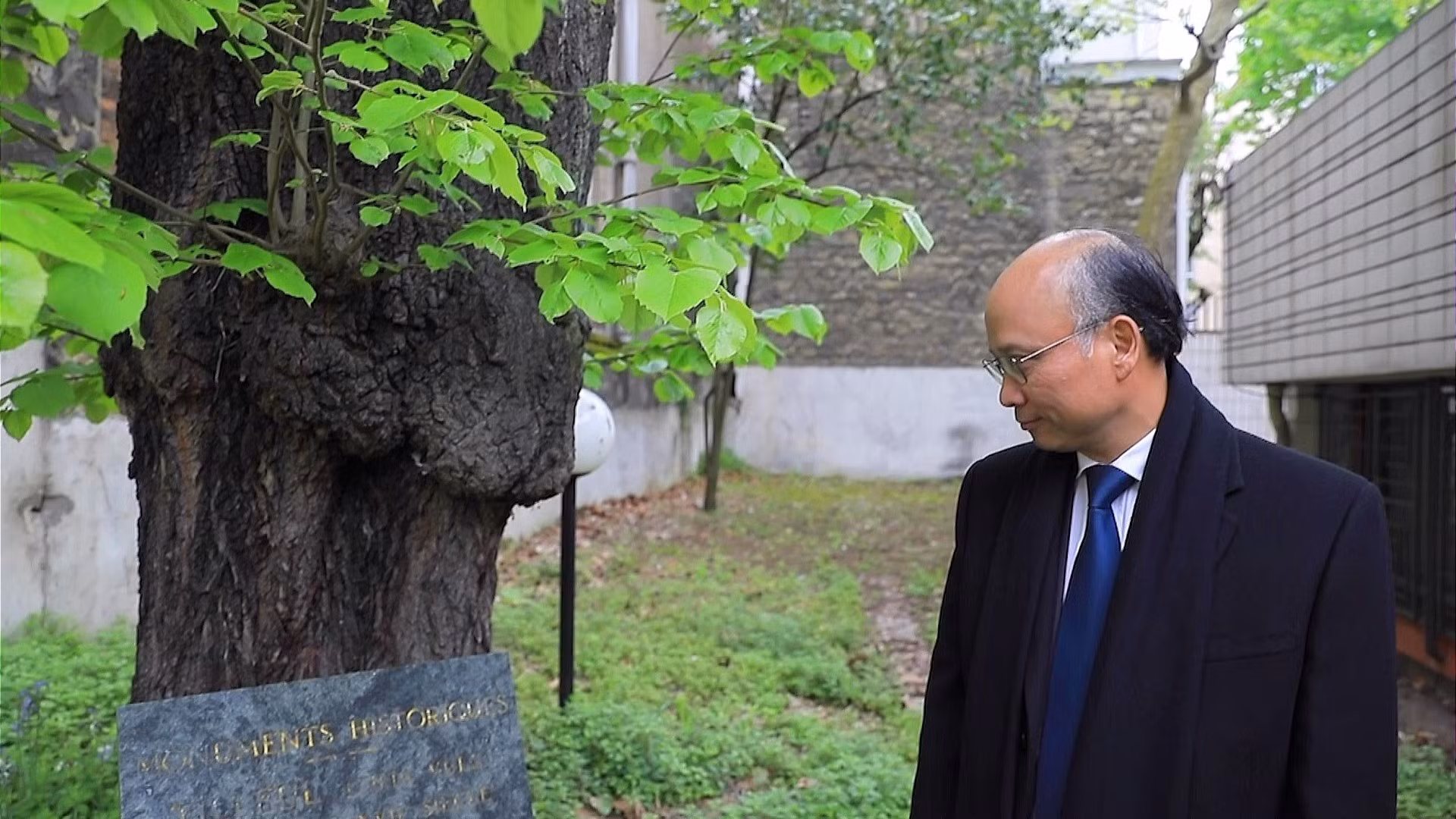 Cây Linden trong khuôn viên Tòa Đại sứ, vốn là cây di tích lịch sử-văn hóa của thành phố Paris, khi xưa là nơi nghỉ chân của nhà thơ Boileau viết nên những áng thơ đầy xúc cảm. Trong quá trình xây dựng tòa nhà và cả sau này, cây Linden vẫn được Đại sứ quán Việt Nam duy trì và chăm sóc. Cũng vì lẽ đó, cây Linden như một vật thể chứng kiến năm tháng hoạt động của cơ quan đại diện và sự lớn mạnh của cộng động người Việt tại Pháp.