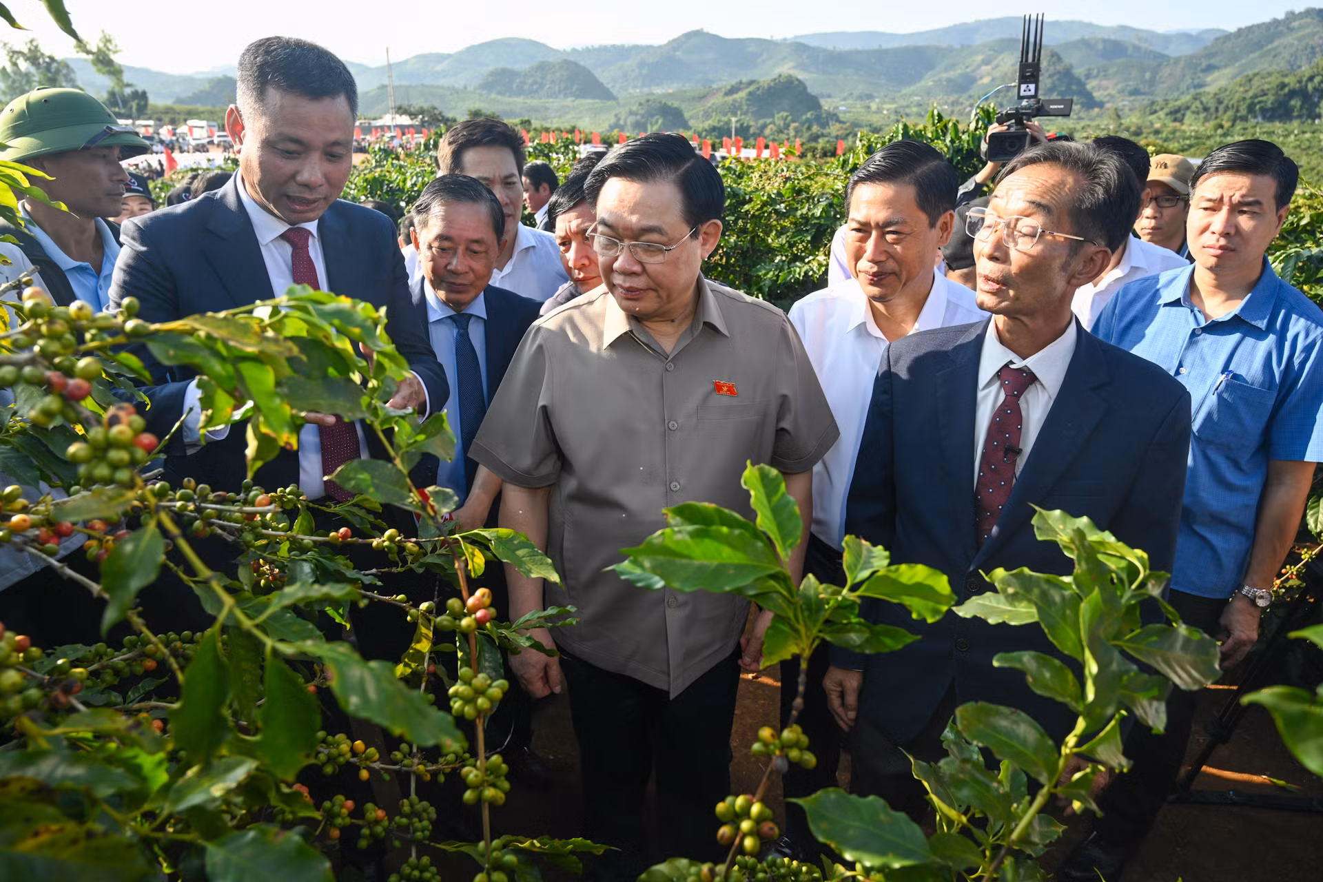 Chủ tịch Quốc hội Vương Đình Huệ và các đại biểu nghe giới thiệu về vùng trồng cà-phê tại bản Hoàng Văn Thụ. Chủ tịch Quốc hội Vương Đình Huệ và các đại biểu nghe giới thiệu về vùng trồng cà-phê tại bản Hoàng Văn Thụ.