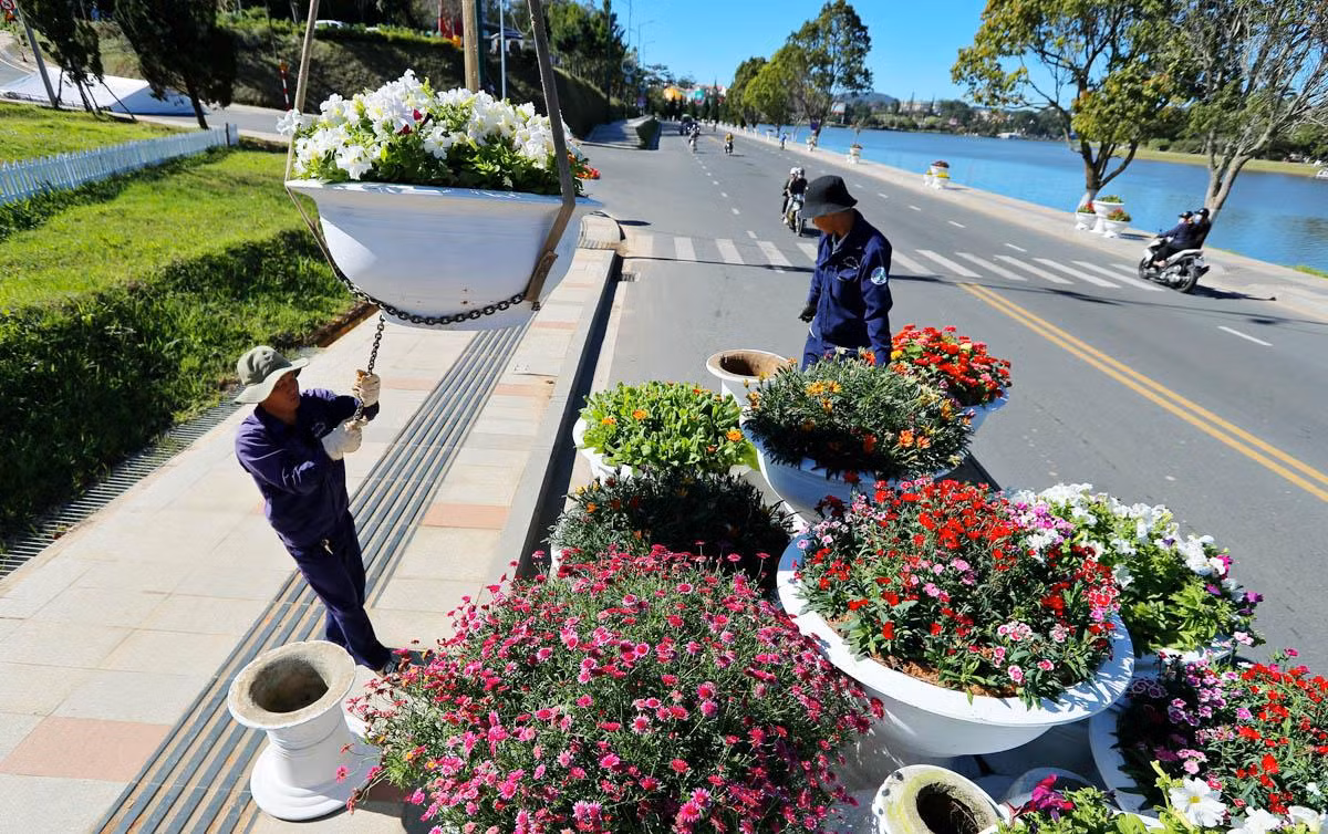 Hoa Đà Lạt xuống phố mùa hội hoa.