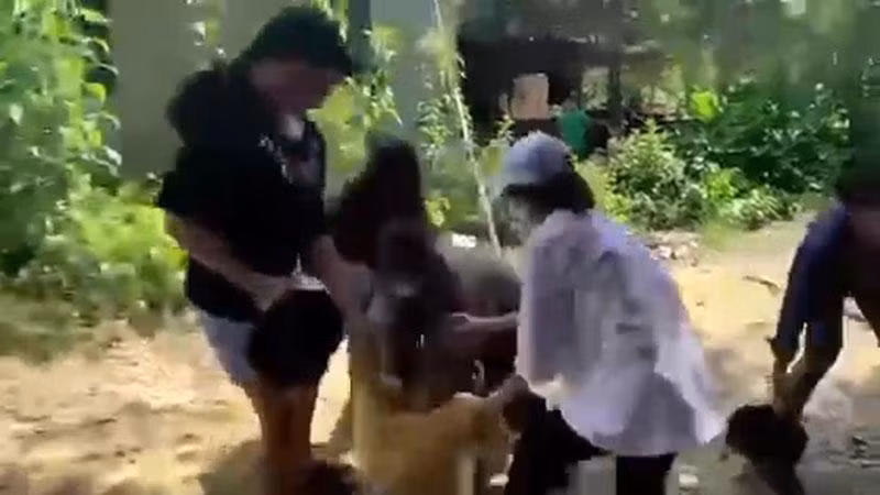 Nữ sinh bị đánh hội đồng. (Ảnh cắt từ clip)