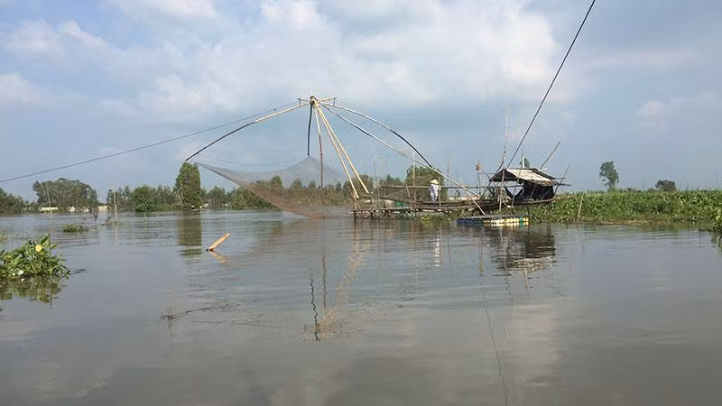 Trong mùa lũ, ngư dân kéo vó cá kiếm được nhiều tiền.