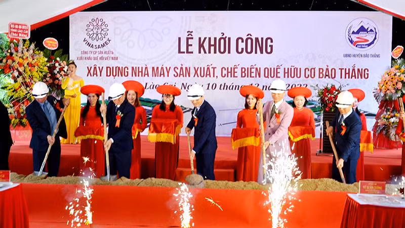 Động thổ xây dựng Nhà máy sản xuất, chế biến quế hữu cơ Bảo Thắng, công suất 10.000 tấn quế tươi và 50.000 lít tinh dầu/năm.