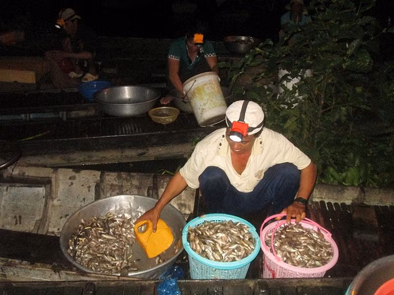 Ngư dân sau một đêm đánh bắt được nhiều cá tôm.