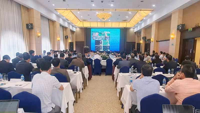 Quang cảnh hội thảo. Quang cảnh hội thảo.