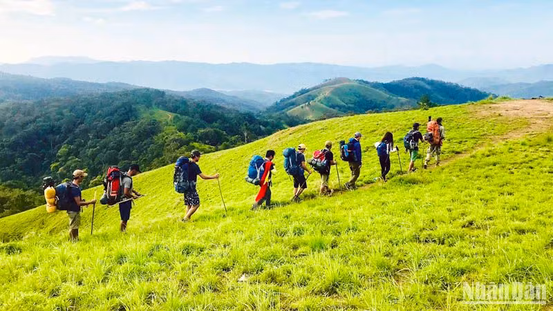 Du khách trải nghiệm cung trekking Tà Năng-Phan Dũng.