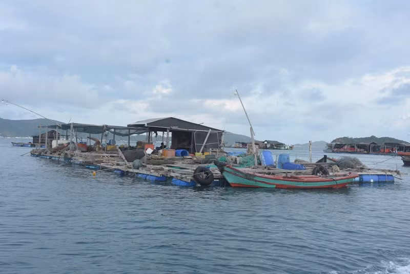 Nuôi cá bằng lồng bè ở xã Nam Du, huyện Kiên Hải.