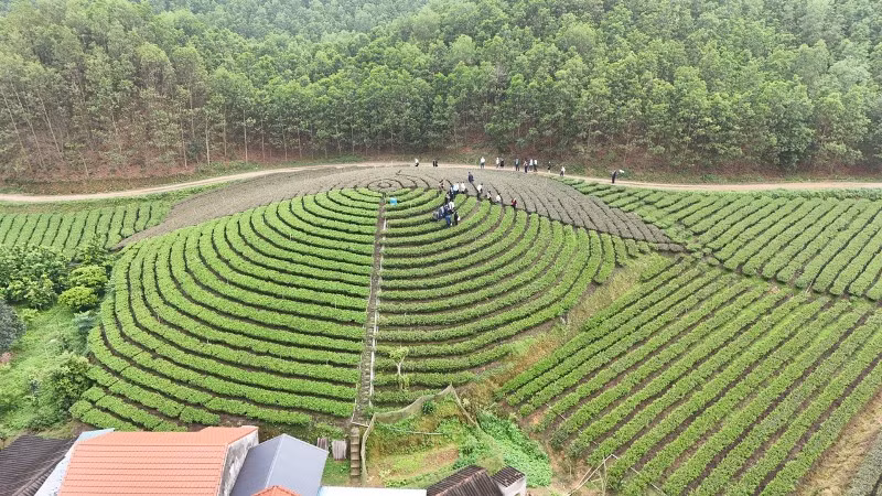 Tỉnh Thái Nguyên đang có nhiều giải pháp gắn du lịch nông thôn với sản phẩm OCOP, vùng chè, làng nghề.