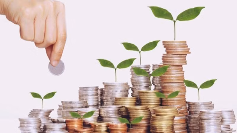 Ảnh minh họa. 