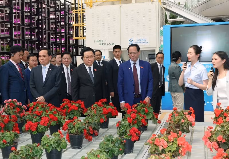Chủ tịch Quốc hội Vương Đình Huệ thăm dự án tiêu biểu về công nghệ cao tại Trung tâm Dịch vụ sáng tạo nông nghiệp xanh Vân Thiên Hóa tỉnh Vân Nam. (Ảnh: Nhan Sáng-TTXVN) 