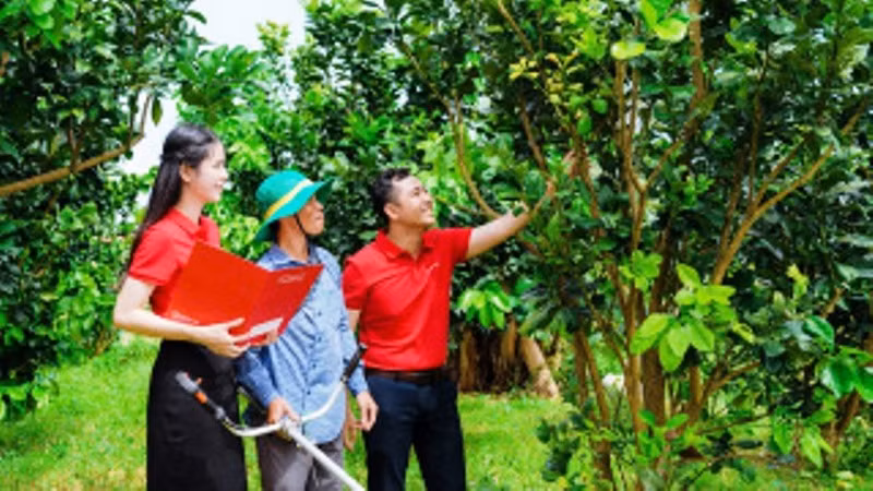 Agribank đẩy mạnh cho vay qua tổ vay vốn - tăng khả năng tiếp cận vốn cho khách hàng 