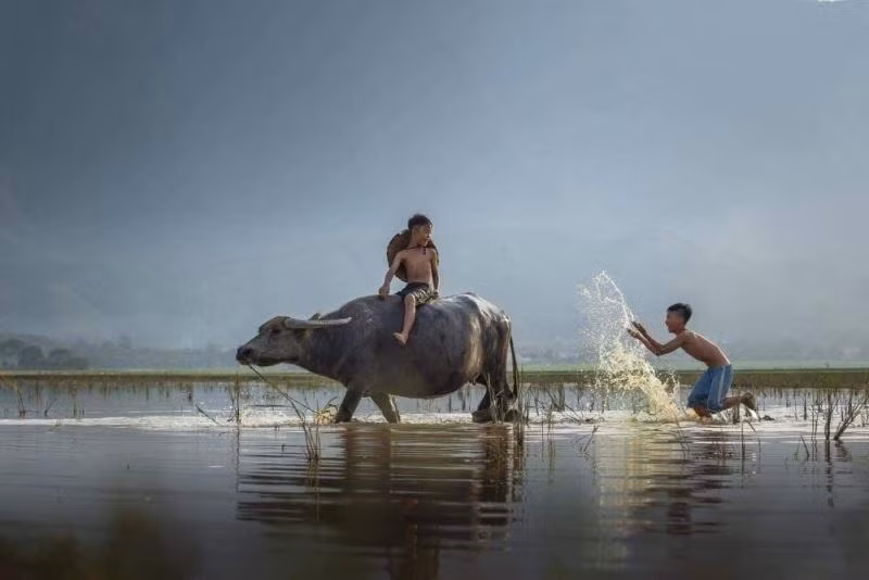 Một tác phẩm của Vũ Anh Dũng. Một tác phẩm của Vũ Anh Dũng.