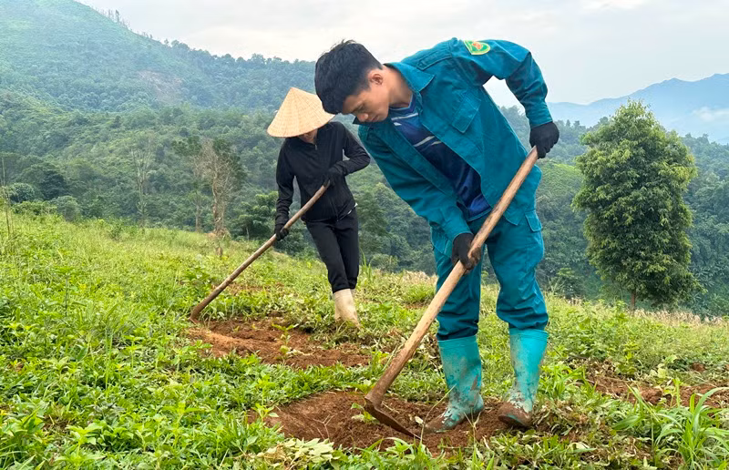 Nông dân bản Bua 2, xã Ẳng Tở chăm sóc cây cà-phê trồng theo mô hình liên kết sản xuất. Nông dân bản Bua 2, xã Ẳng Tở chăm sóc cây cà-phê trồng theo mô hình liên kết sản xuất.