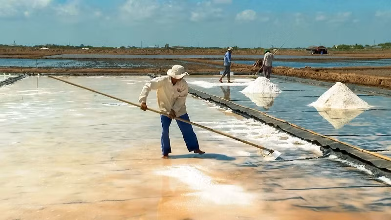 Sản xuất muối chất lượng cao bằng phương pháp trải bạt nhựa.