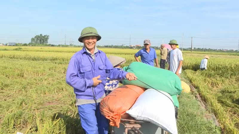 Gạo Việt Nam đứng trước cơ hội lớn để gia tăng xuất khẩu.