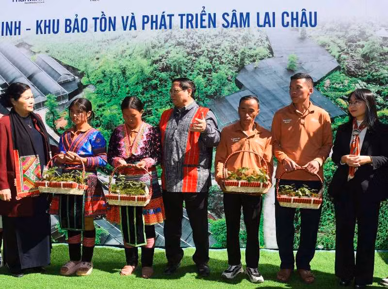 Thủ tướng Phạm Minh Chính trao tặng cây sâm giống cho bà con nông dân địa phương. Thủ tướng Phạm Minh Chính trao tặng cây sâm giống cho bà con nông dân địa phương.
