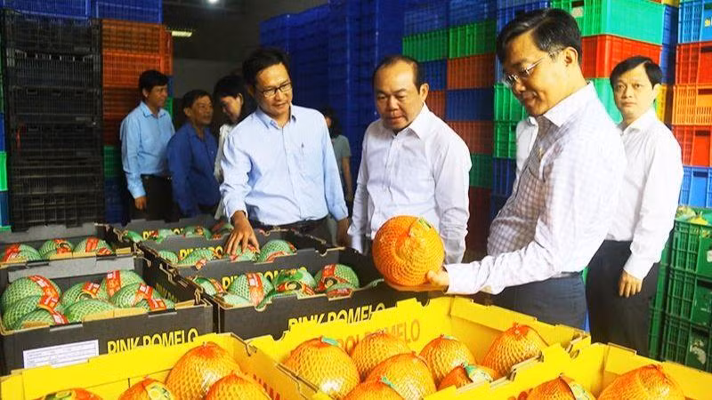 Đoàn công tác khảo sát tại HTX trái cây sinh học OCOP ở huyện Châu Thanh.