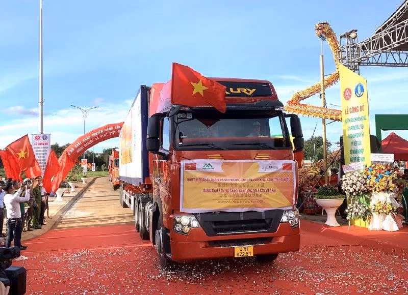 Những xe tải chở chuyến hàng sầu riêng đầu tiên xuất khẩu theo đường chính ngạch sang Trung Quốc.