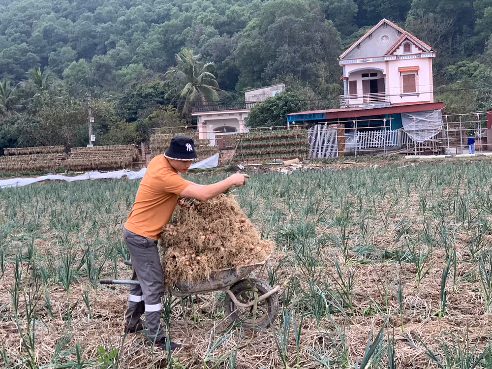 Phát triển kinh tế nâng cao thu nhập của người dân nông thôn vẫn là ưu tiên cốt lõi của Chương trình nông thôn mới. Phát triển kinh tế nâng cao thu nhập của người dân nông thôn vẫn là ưu tiên cốt lõi của Chương trình nông thôn mới.