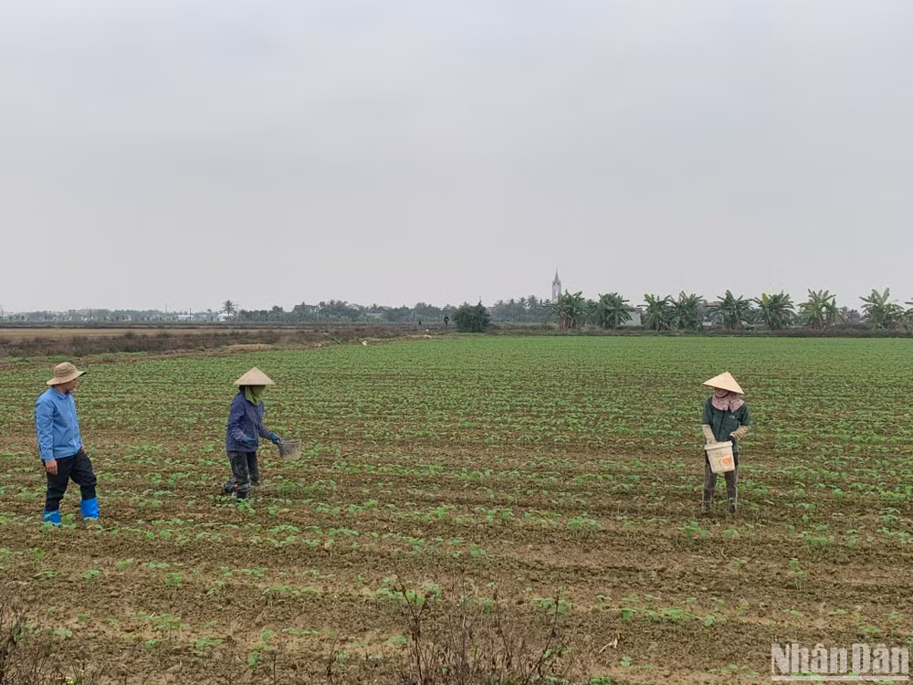 Chương trình mục tiêu quốc gia về xây dựng nông thôn mới mang lại những kết quả to lớn, toàn diện.