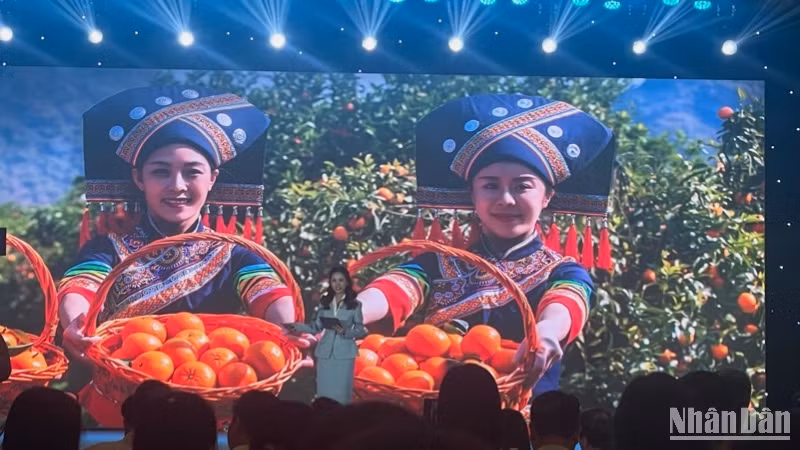 Giới thiệu tài nguyên văn hóa và du lịch Quảng Tây.