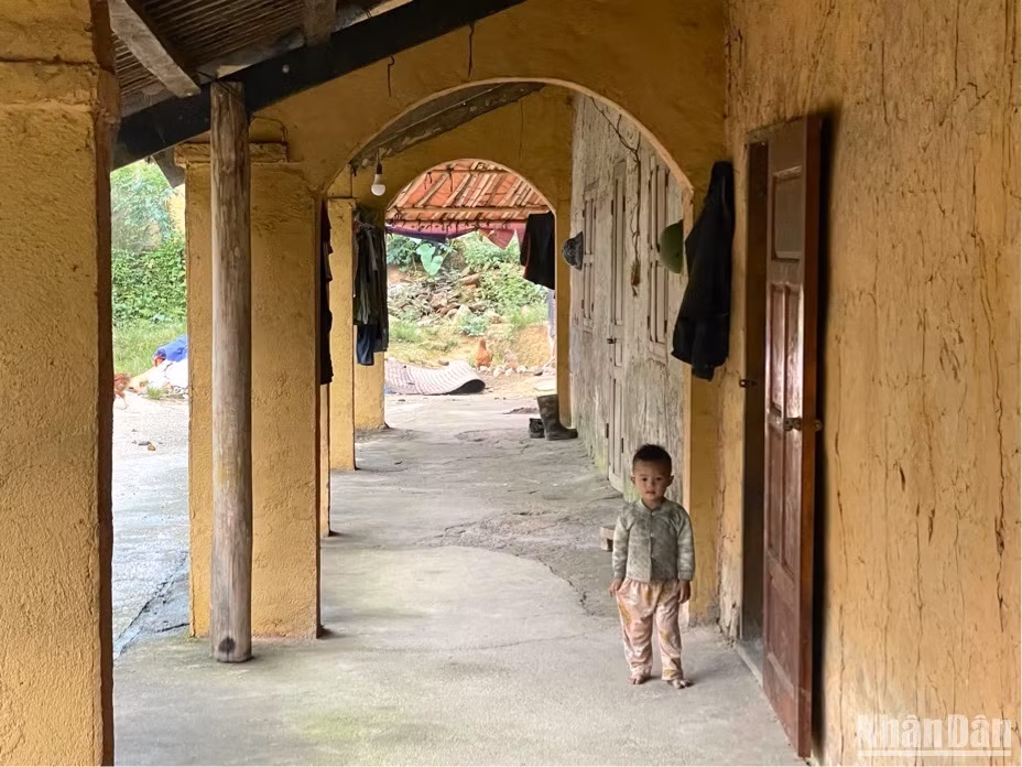 Cột nhà và mái vòm hình vòng cung.