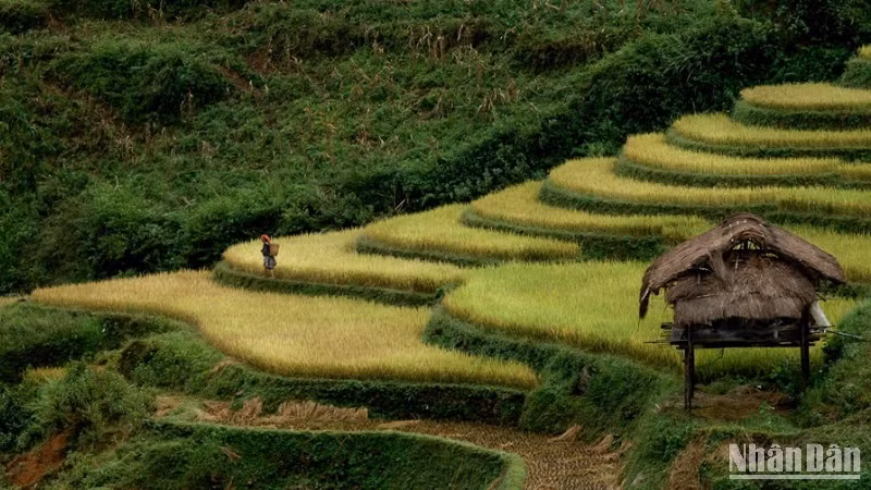 Văn hóa bản địa là điểm nhấn hấp dẫn du khách. (Ảnh: VŨ LINH)