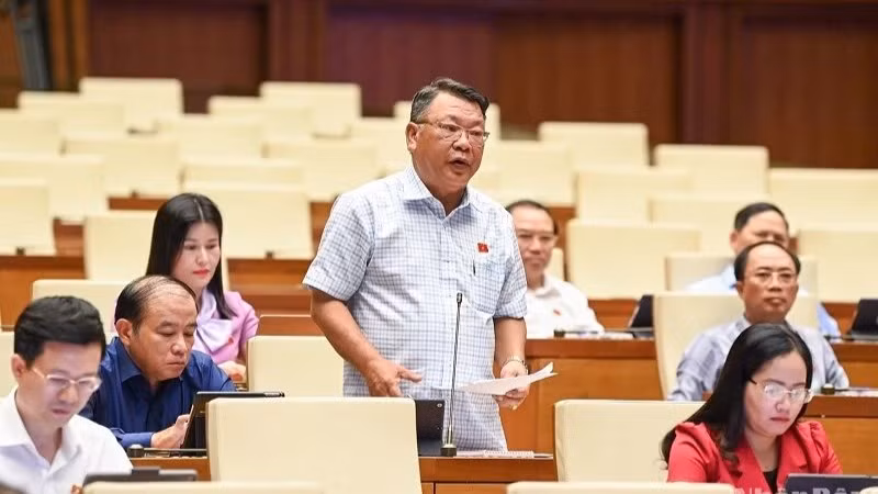Đại biểu Quốc hội Nguyễn Tạo, Phó Trưởng đoàn chuyên trách Đoàn đại biểu Quốc hội tỉnh Lâm Đồng. (Ảnh: DUY LINH)