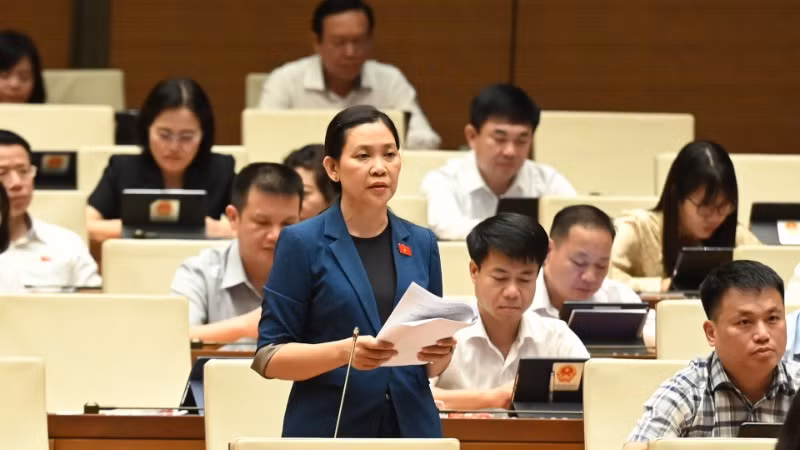 Đại biểu Huỳnh Thị Ánh Sương (Đoàn Quảng Ngãi) phát biểu tại hội trường. (Ảnh: BÙI GIANG)