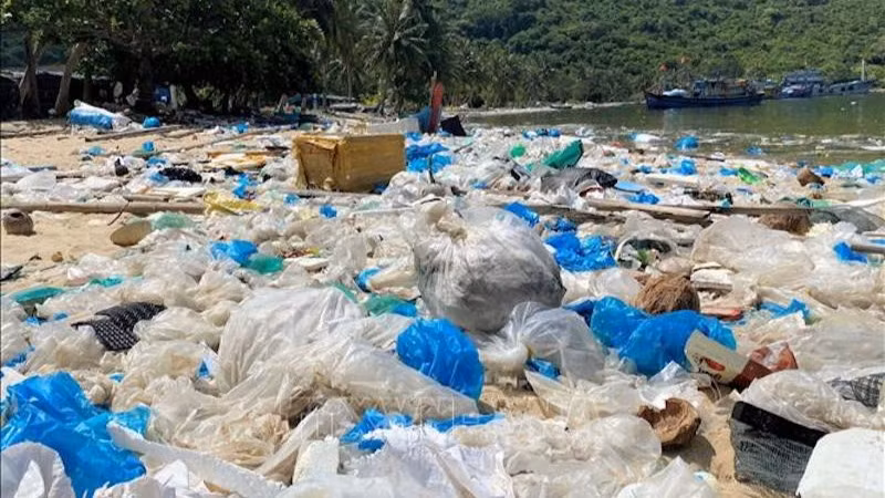 Khu vực bãi Chính của vịnh Vũng Rô thuộc xã Hòa Xuân Nam, thị xã Đông Hòa (Phú Yên) ngập tràn rác thải nhựa. (Ảnh: TTXVN)