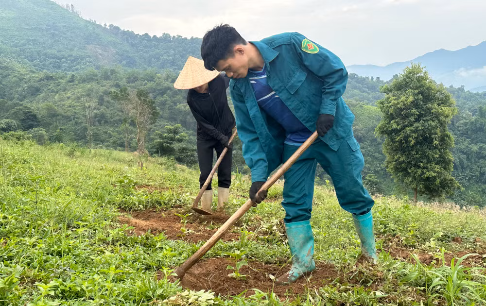 Được hỗ trợ học nghề, nông dân bản Bua 2, xã Ẳng Tở, huyện Mường Ảng đã tự tin mở rộng diện tích trồng cây cà-phê của gia đình.