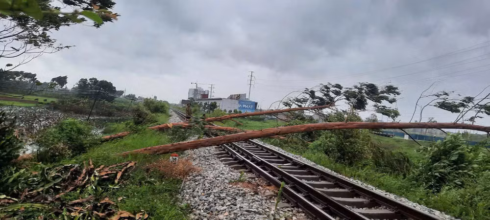 Cây đổ chắn tuyến đường sắt Hà Nội-Đồng Đăng. (Ảnh: Tổng Công ty Đường sắt Việt Nam) Cây đổ chắn tuyến đường sắt Hà Nội-Đồng Đăng. (Ảnh: Tổng Công ty Đường sắt Việt Nam)