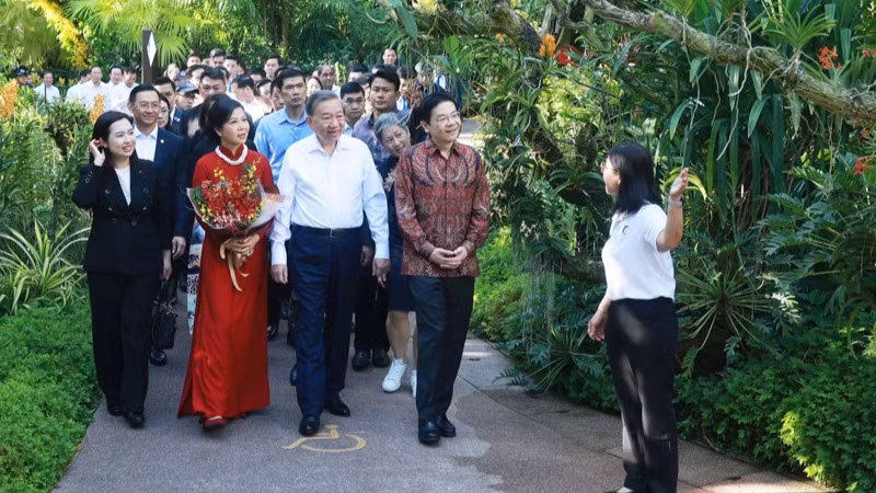 Tổng Bí thư Tô Lâm và Phu nhân cùng Thủ tướng Singapore Lawrence Wong tham quan Vườn Thực vật Singapore. (Ảnh: Thống Nhất/TTXVN) 