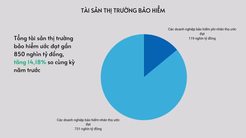 Đồ hoạ tài sản thị trường bảo hiểm