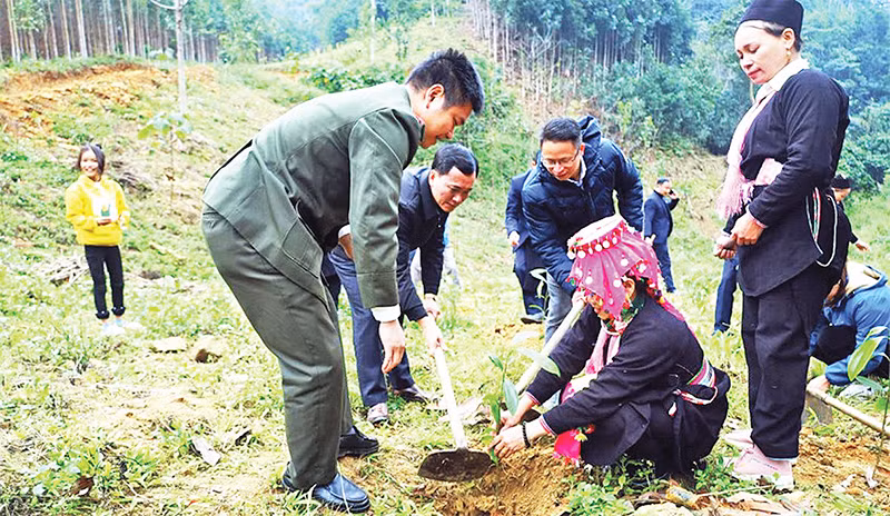 Tết trồng cây Xuân Ất Tỵ và trồng rừng năm 2025 được tổ chức ở các cấp, các ngành, địa phương thuộc tỉnh Lào Cai. (Ảnh KIM THOA)