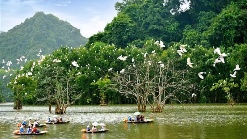 Phát triển du lịch từ rừng mang lại lợi ích kép cho người dân. Phát triển du lịch từ rừng mang lại lợi ích kép cho người dân.