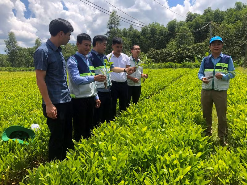 Giám đốc Trung tâm Khuyến nông quốc gia Lê Quốc Thanh tham quan mô hình vườn ươm cây lâm nghiệp tại xã Vĩnh Hà, huyện Vĩnh Linh (Quảng Trị).