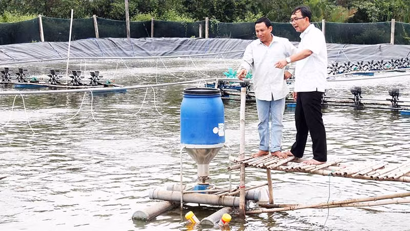 Mô hình nuôi tôm công nghệ cao của đồng bào Khmer ở thị xã Vĩnh Châu, tỉnh Sóc Trăng. (Ảnh NGUYỄN PHONG)