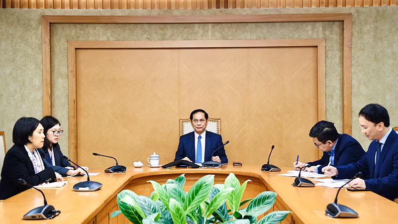 Phó Thủ tướng, Bộ trưởng Ngoại giao Bùi Thanh Sơn tại điện đàm. (Ảnh VGP)
