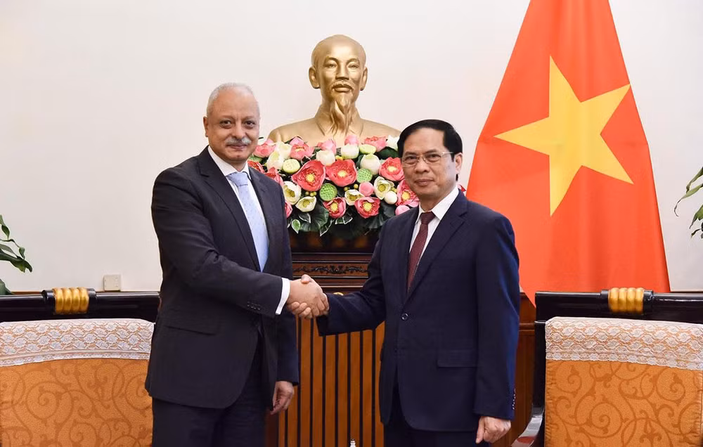 Bộ trưởng Ngoại giao Bùi Thanh Sơn tiếp xã giao Trợ lý Bộ trưởng Ngoại giao Ai Cập Ayman Aly Kamel Aly. (Ảnh: Bộ Ngoại giao)