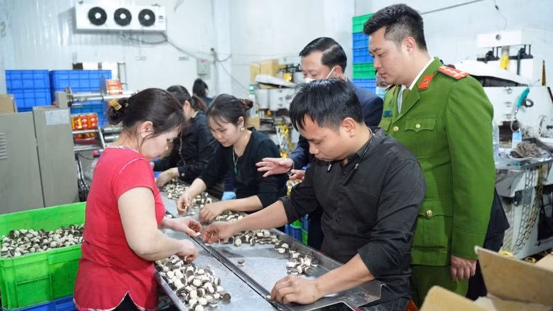 Các cơ quan chức năng kiểm tra công tác bảo đảm an toàn thực phẩm trên địa bàn thành phố Hà Nội.