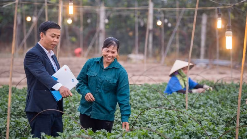 Cán bộ TYM đến thăm mô hình trồng hoa và cây giống của thành viên. Cán bộ TYM đến thăm mô hình trồng hoa và cây giống của thành viên.