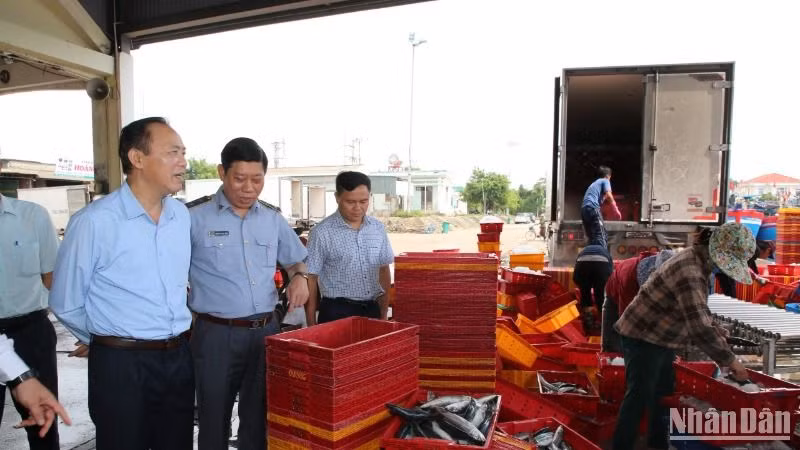 Thứ trưởng Nông nghiệp và Phát triển nông thôn Phùng Đức Tiến kiểm tra công tác chống khai thác IUU tại Quảng Ngãi.