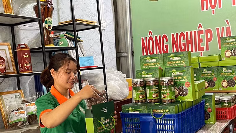 Nhiều nông sản vùng miền núi Quảng Ngãi được công nhận OCOP.